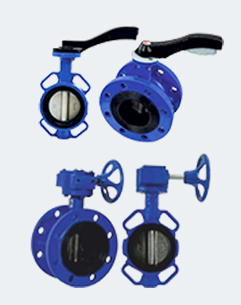 Butterfly Valve